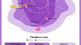 Что такое тариф для вещей: особенности перевозки багажа в Мотиви