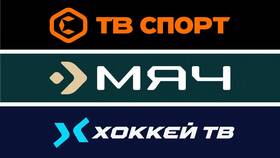 Что такое Триколор Онлайн в Мотиви