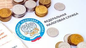 Из чего складываются налоги в Мотиви