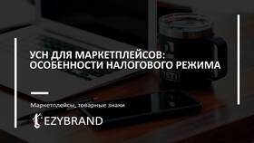 Как называется декларация по УСН и ее особенности в Мотиви