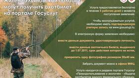 Как оформить охотничий билет через портал Госуслуги в Мотиви
