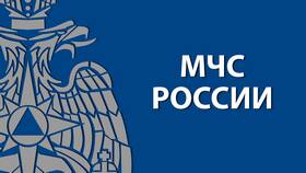 Как подать заявление на лицензию через Госуслуги в Мотиви
