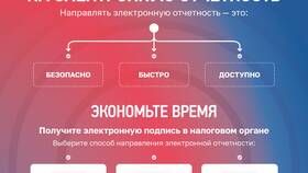 Как получить электронное свидетельство ИП в Мотиви
