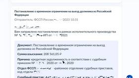 Как проверить запрет на въезд в Россию в Мотиви