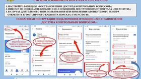 Как узнать свои данные на портале Госуслуги в Мотиви