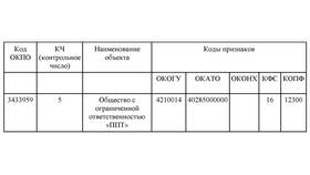 Как узнать свой ОКОПФ по ИНН в Мотиви