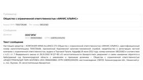 Кредитор подал на банкротство: что делать в Мотиви
