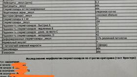 Морфология 3% в спермограмме: что это значит в Мотиви