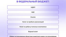 На что уходит налог с зарплаты в Мотиви