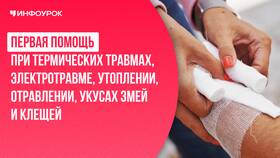 Первичная выплата пособия: значение и особенности в Мотиви