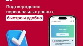 Проверка документов на Госуслугах: сколько времени занимает в Мотиви