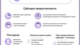 Тип результата предоставления субсидии: что это в Мотиви